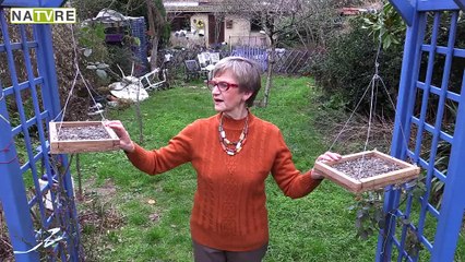 Le grand match oiseaux des jardins ! Partie 1