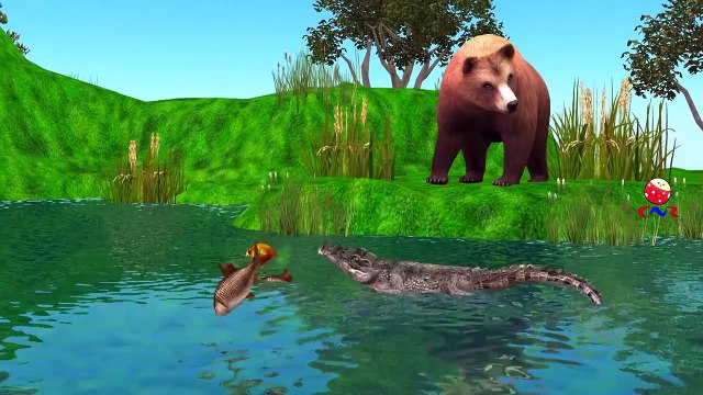 Bear And Lion Cartoon Dancing And Singing Finger Family Nursery Rhymes For Children