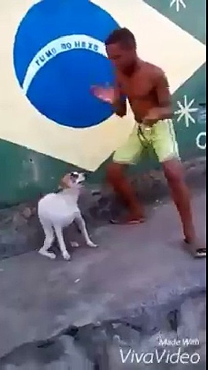 new style dancing with the dog