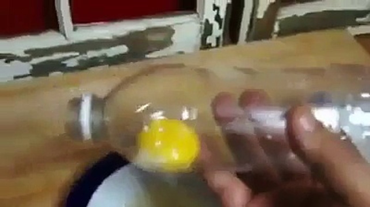fun clips (7)