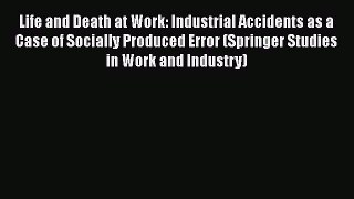 PDF Life and Death at Work: Industrial Accidents as a Case of Socially Produced Error (Springer