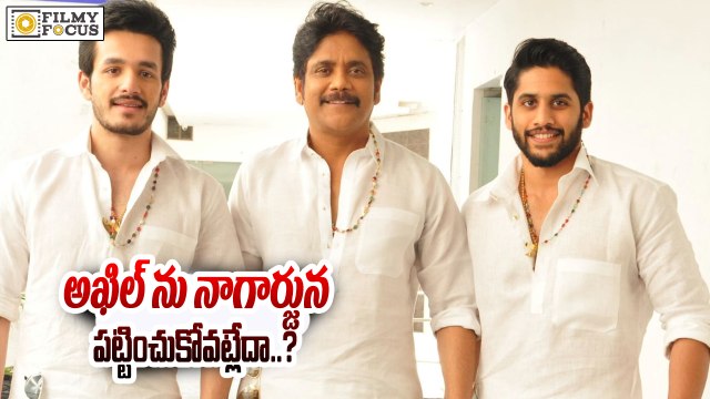 Nagarjuna Focusing on Naga Chaitanya Than Akhil..!! - Filmy Focus