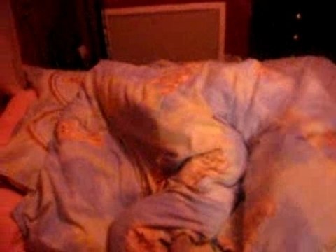 Les Filles en plein dlir