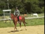 Epaule en dedans trot