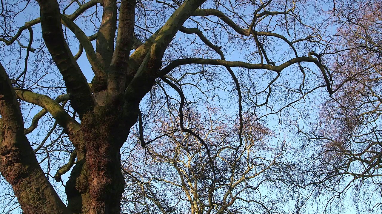 Rear Window: Forgotten Histories - Revolutionary Exiles of 1848