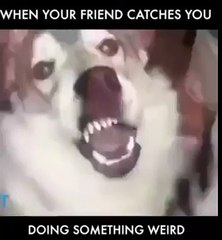 When your friend catches you doing something weird  Funny Videos 2015