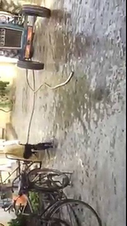 Pug picks fight with police dog outside Phoenix barricade