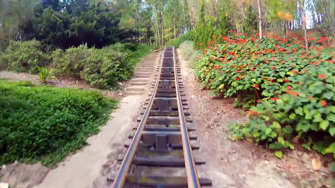 Expedition Everest Roller Coaster Front Seat POV On-Ride Animal Kingdom Walt Disney World HD