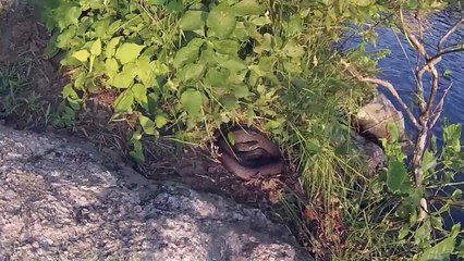 I Love Millers Pond CT GoPro Video