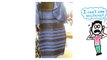 What Colour Is This Dress- (SOLVED with SCIENCE)