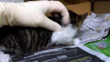 A678754, 55, 56 and 57