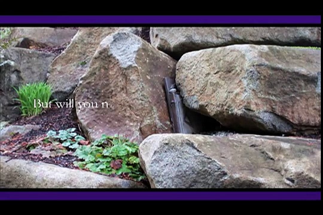 Student Involvement Video for UW Bothell