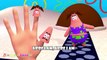 Patrick (Spongebob Squarepants) Finger Family | 3D Animation In HD From Binggo Channel