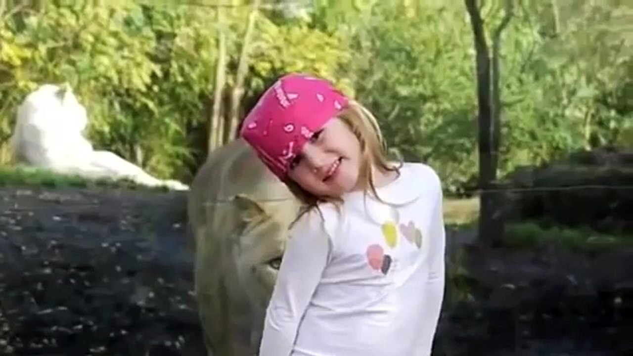 Неожиданно. Девочка и львица - Взгляд в душу!