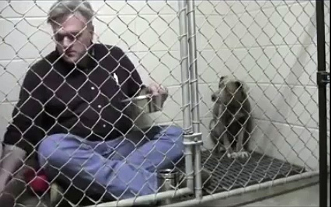 IL mange avec ce chien pour le remettre en confiance