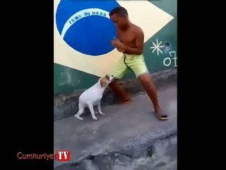 Sahibiyle dans eden köpek