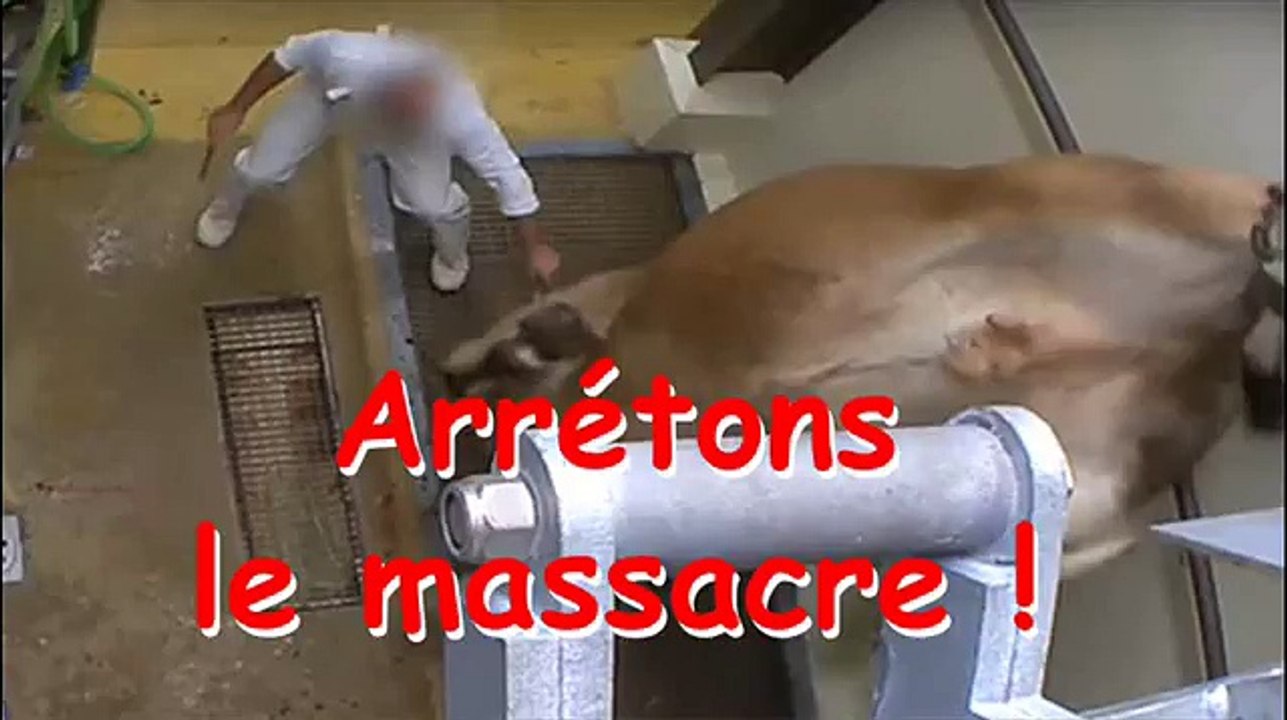 Arrêtons le massacre (World Music 720p)