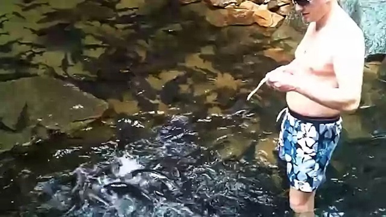 Потрясная рыбалка!