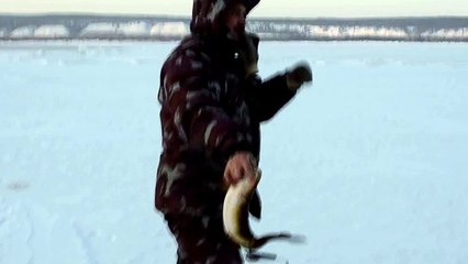 Подлёдная рыбалка, ловим налима!