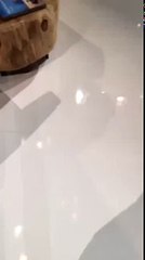 DAMN DANIEL ON THE ELLEN SHOW (ORIGINAL)