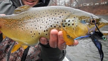 The Ozark Streamer Mission (2 of 4)