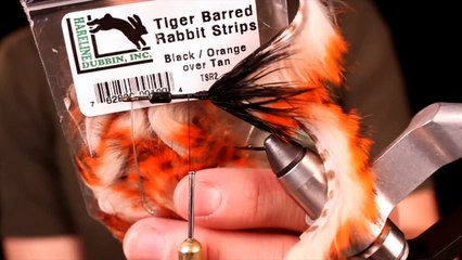 The Ozark Streamer Mission (4 of 4)