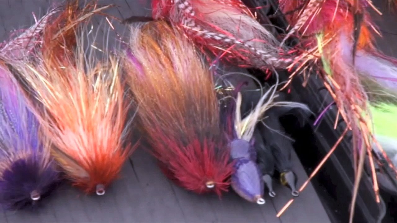 Minnesota Muskies Til' it Hurts (1 of 4)