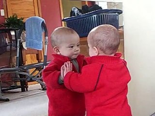 Funny Baby Joey Finds a Friend in the Mirror