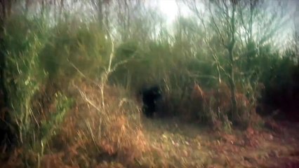 Ertuğrul'un Süleyman Şah'ı ve Oğlu Osman'ı Rüyasında Görmesi