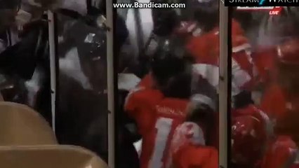 Tučnjava hokejaša Zvezde i Partizana