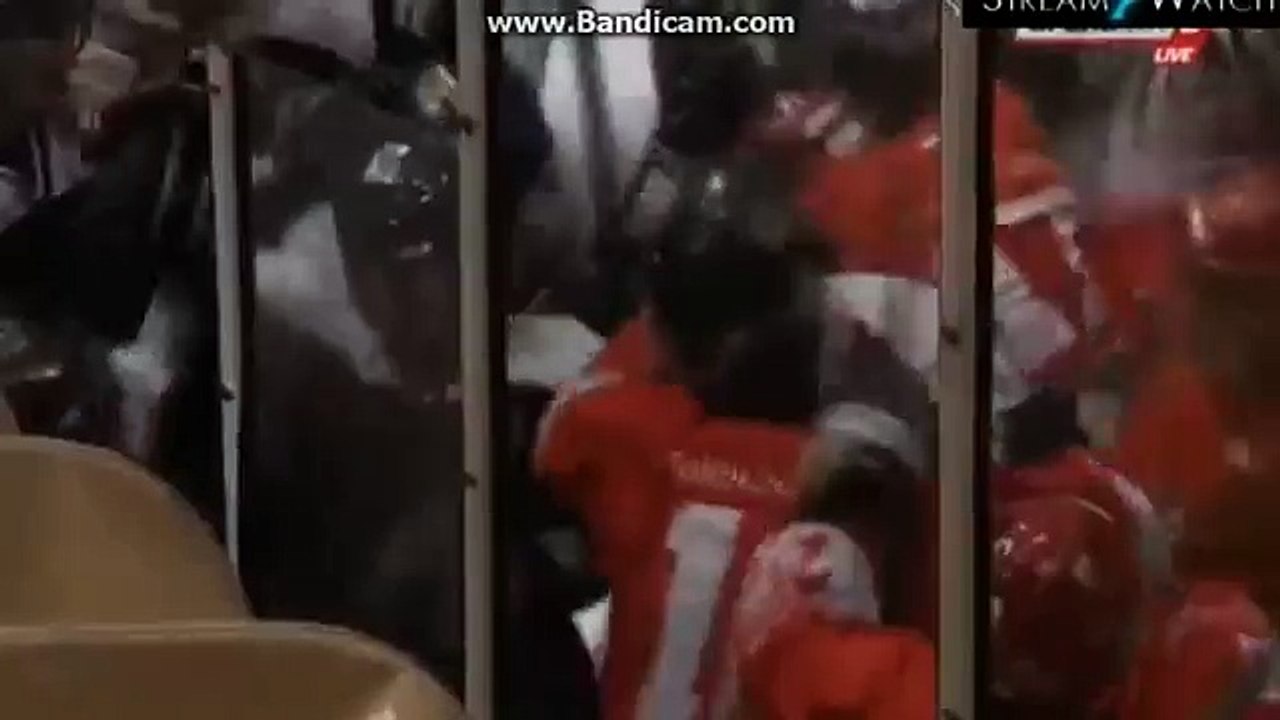 Tučnjava hokejaša Zvezde i Partizana