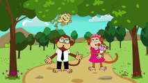 Finger Family Song - Monkeys Finger Family - Nursery Rhymes Kids Songs for toddlers preschool