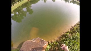 Very big bass on the pond watch one of the best video