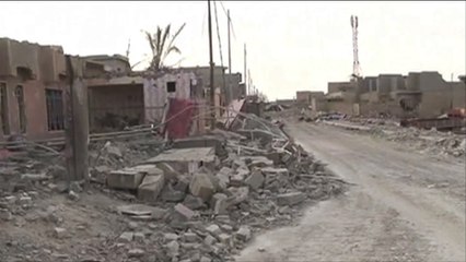 محافظ الأنبار: 80% من الرمادي مدمرة