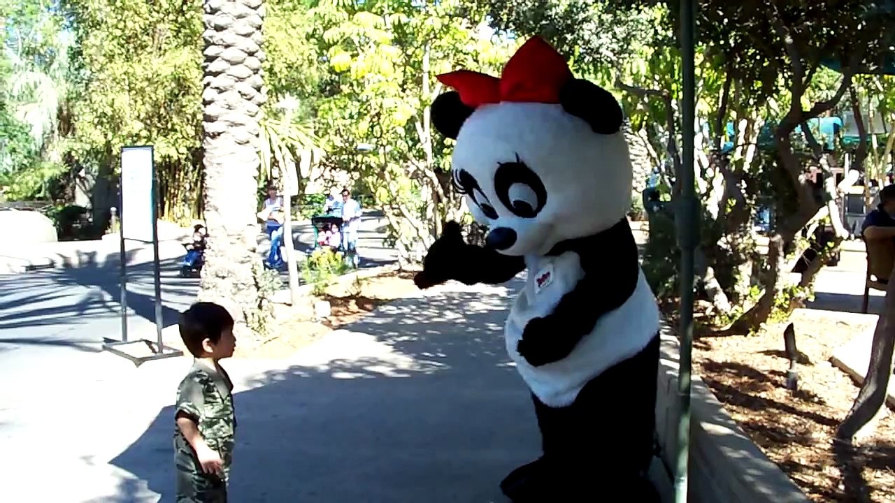San Diego Zoo Panda Mascot
