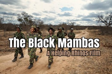 THE BLACK MAMBAS DOCUMENTARY - Saving The Rhino