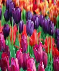 해외픽스매치 ゾ Supercar123.Com 가입코드7171