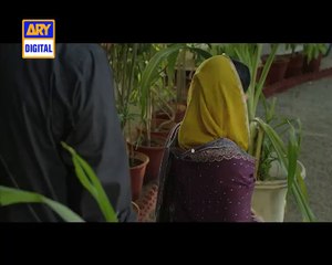 dillagi upcoming drama promo 2-humayoun saeed-mehwish hayat
