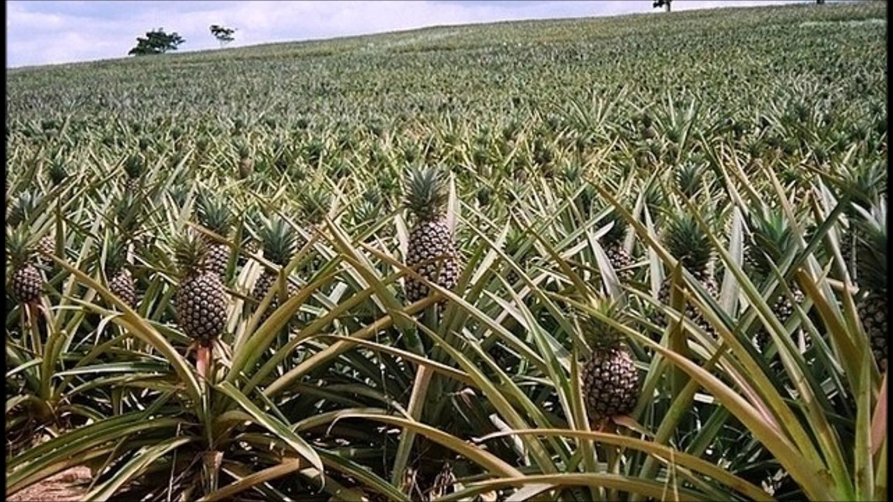 Bilmediginiz 9 ilginç bilgi