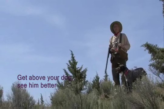 Upland Hunting: Get High for Better Hunting