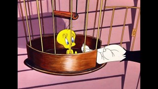 Looney Tunes _ Tweetie's Luck Day _ cartoon network