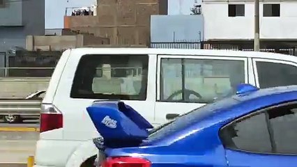 Un chaton sauvé par un policier au Pérou