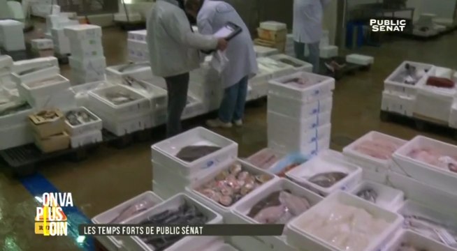 Les temps forts de Public Sénat (25/02/2016)