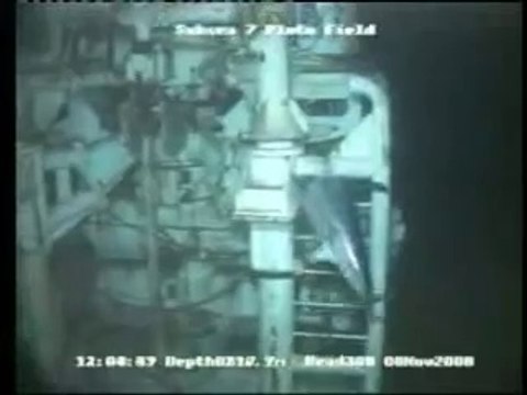 Un espadon désorienté coincé dans les grilles d'une plateforme pétrolière sauvé par un robot sous marin