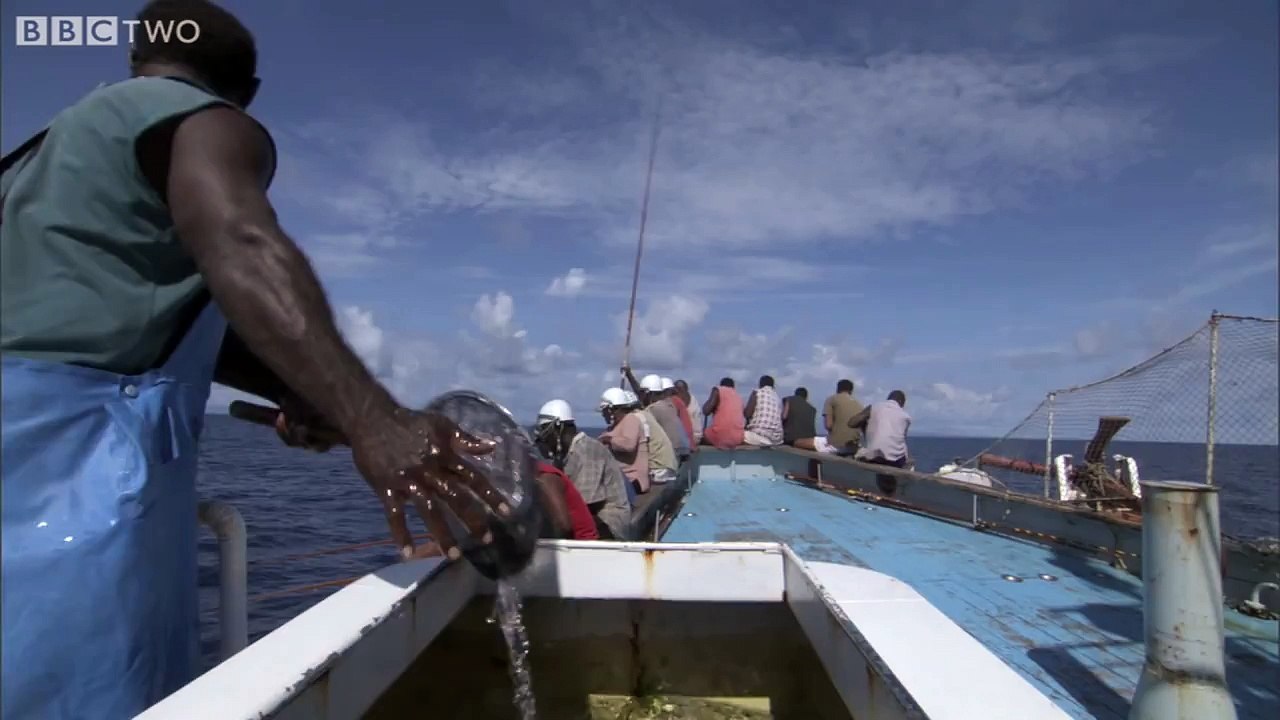 HD: Tuna Fishing South Pacific BBC Two