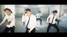 방탄소년단 상남자(Boy In Luv) MV (Dance ver.)