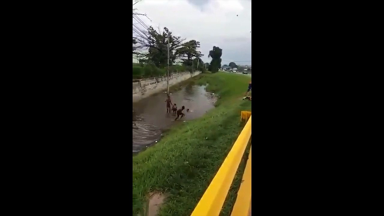 Atropelamento ao vivo na dutra....Pediu para acontecer.. Vejam!!!!