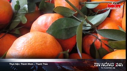 Tin nóng 24h ngày 24-2-2016- Xe ben tung hoành nội đô về đêm