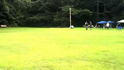 Log Throwing Scottish Fair