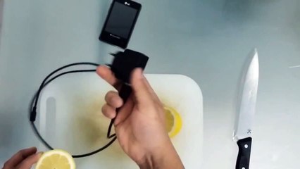 To Charge The Phone With Lemon
